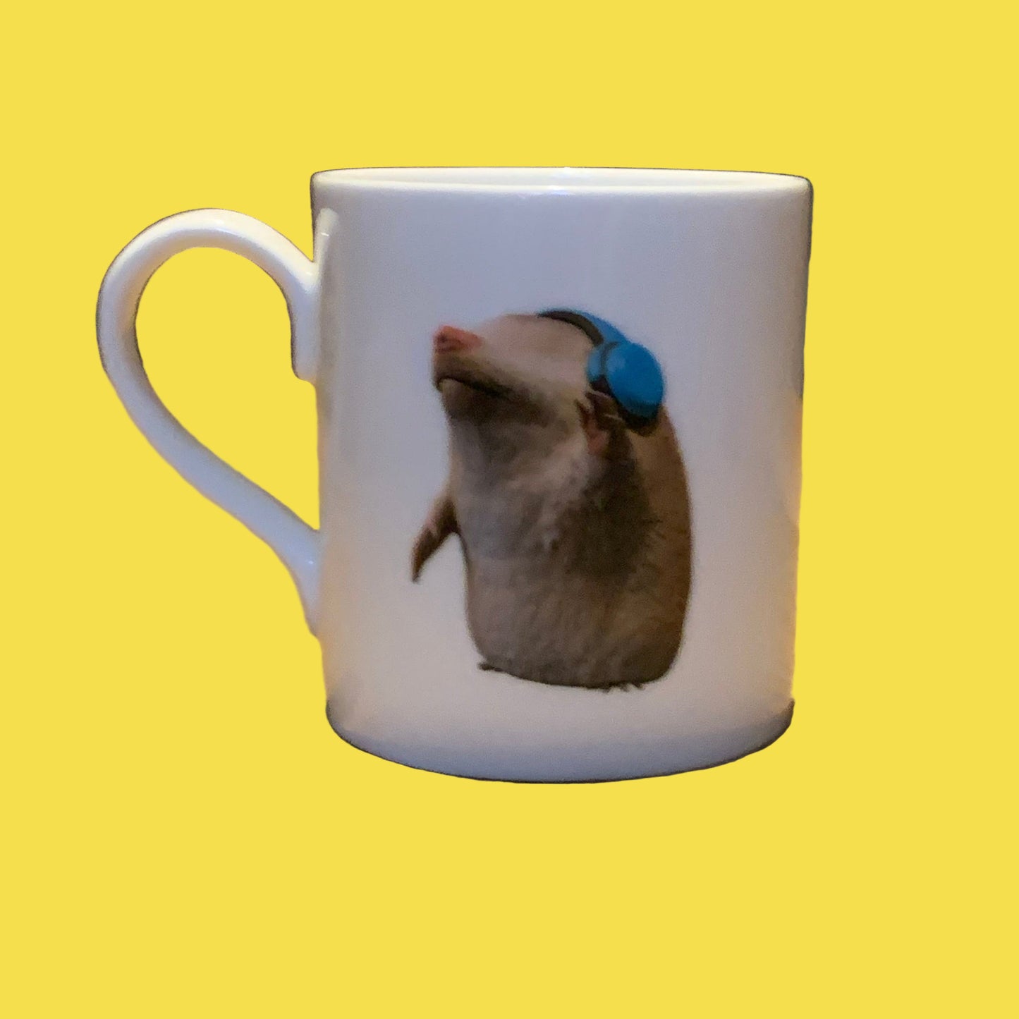 Camp Dodo Mugs