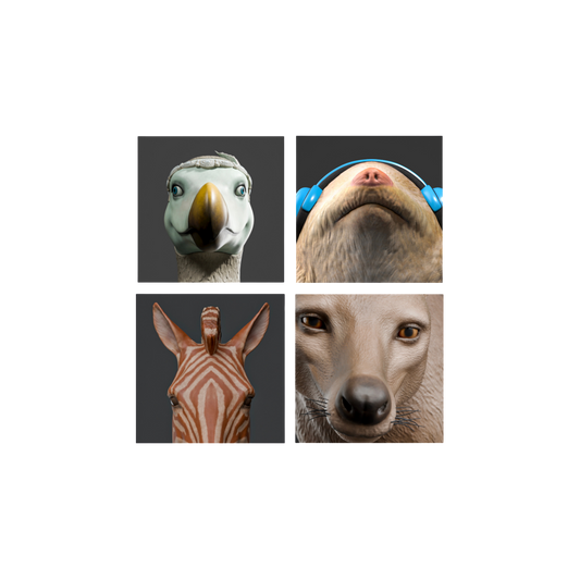 Ghosts in my House.  Time Past & Time Present