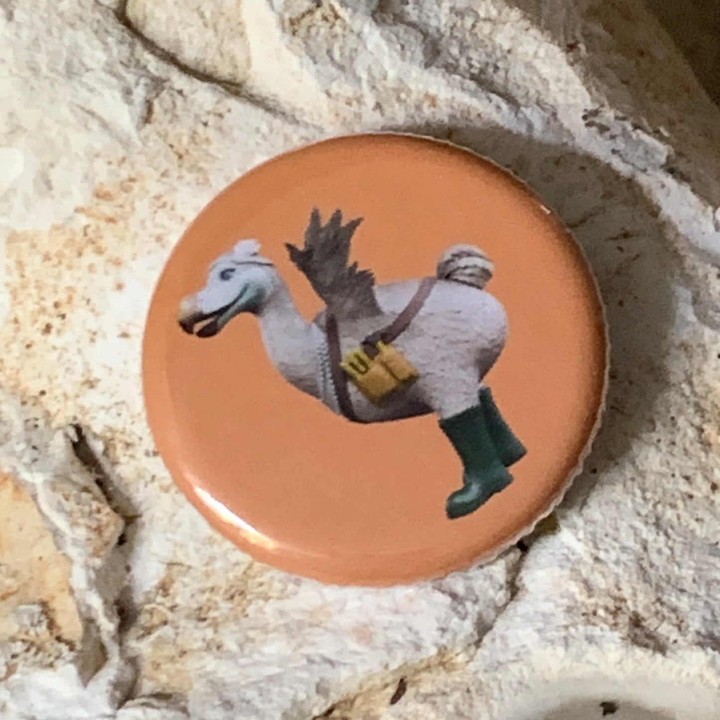 Dulcie in her Wellies