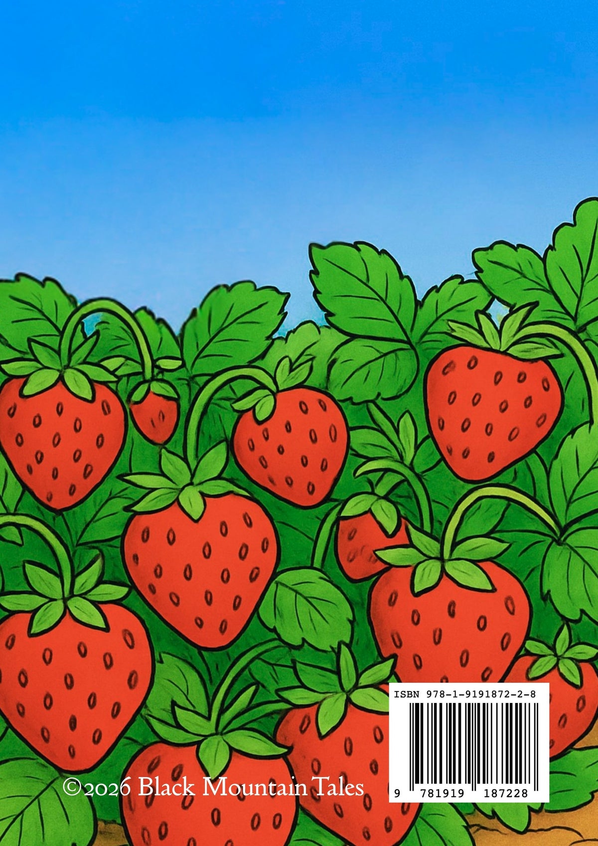 Summer Colouring Book